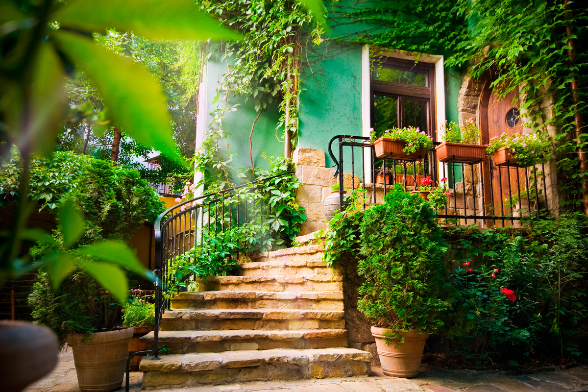 Beneficios de tu jardín en verano