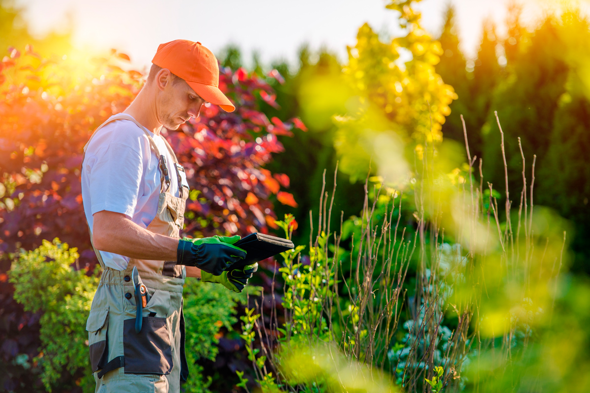 Cómo mantener tu jardín al final del verano